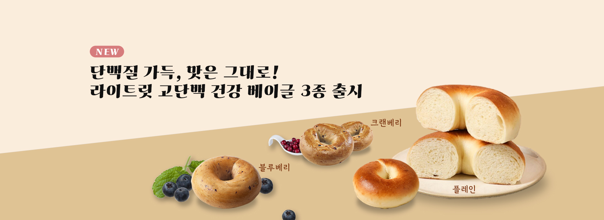 배너1